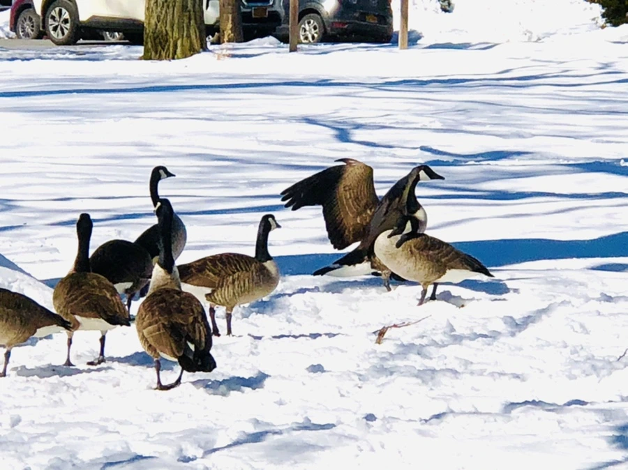 IMG_3964.jpg?type=w966