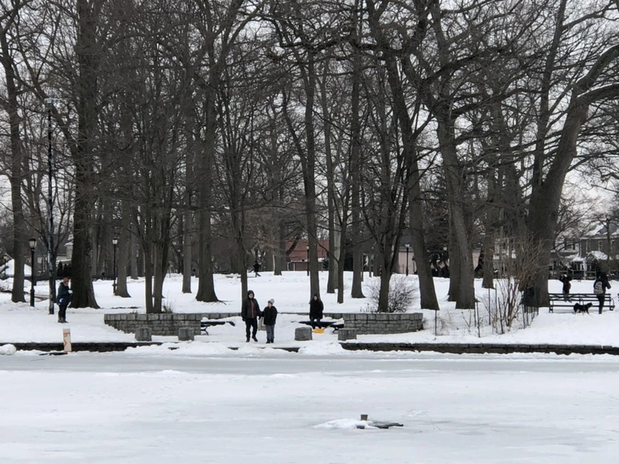 IMG_2742.jpg?type=w966