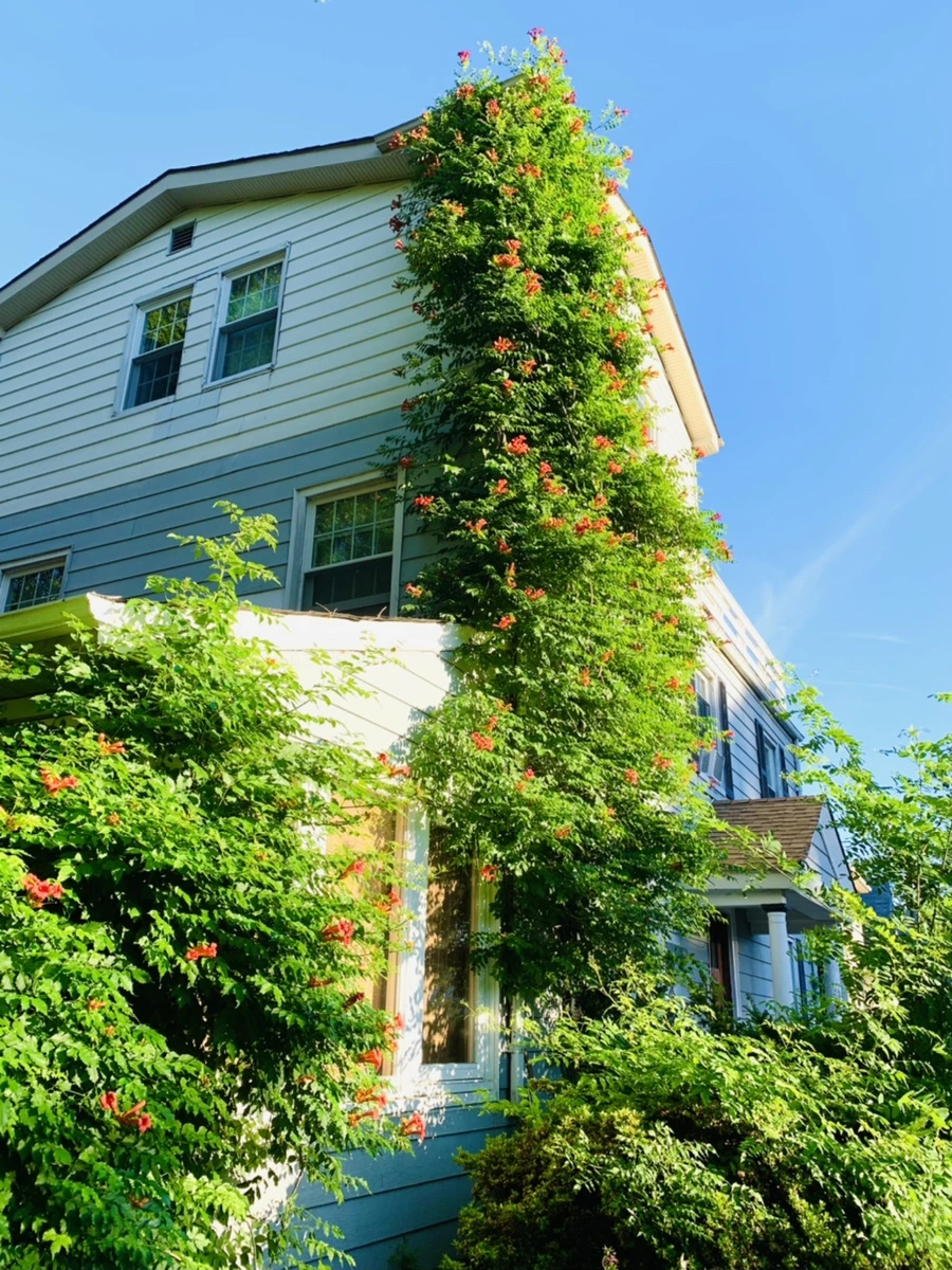 IMG_6487.jpg?type=w966