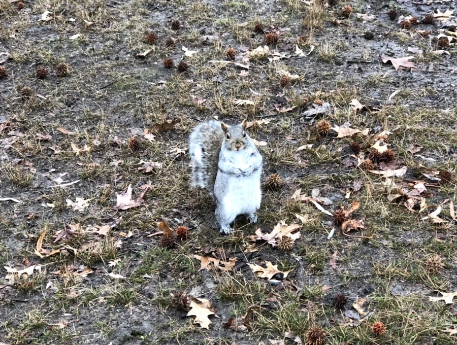 IMG_9493.jpg?type=w966