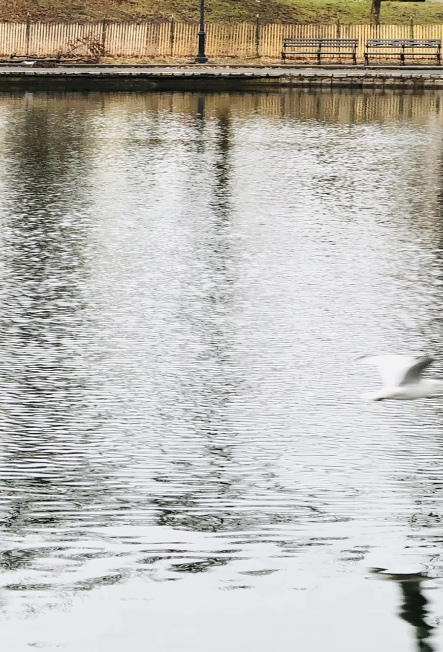 IMG_8633.jpg?type=w966