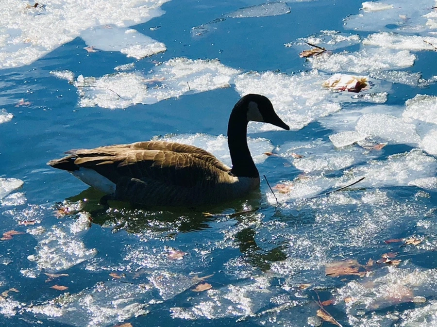 IMG_5085.jpg?type=w966