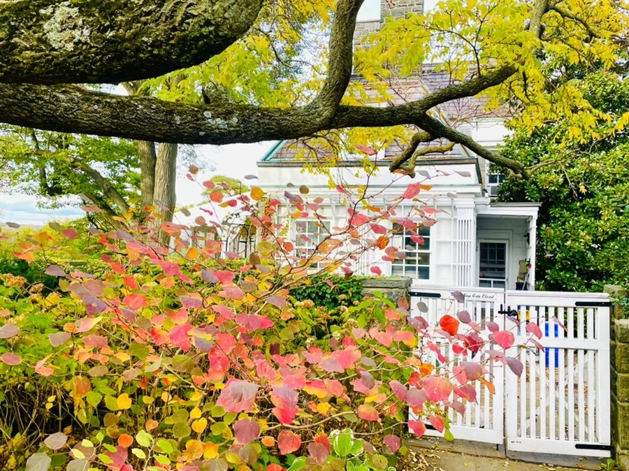 IMG_0351.jpg?type=w966