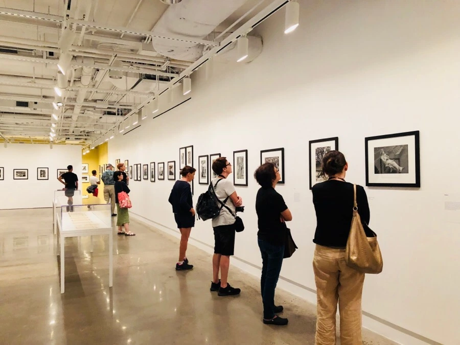 IMG_1523.jpg?type=w966