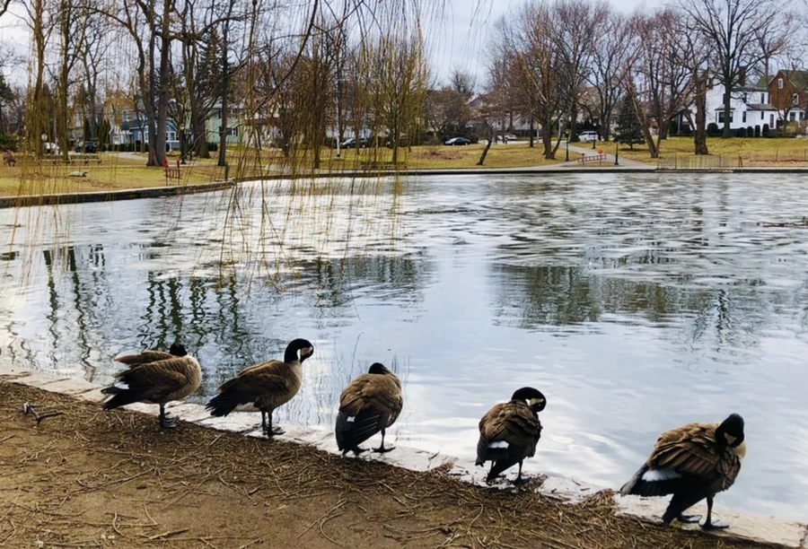 IMG_5068.jpg?type=w966