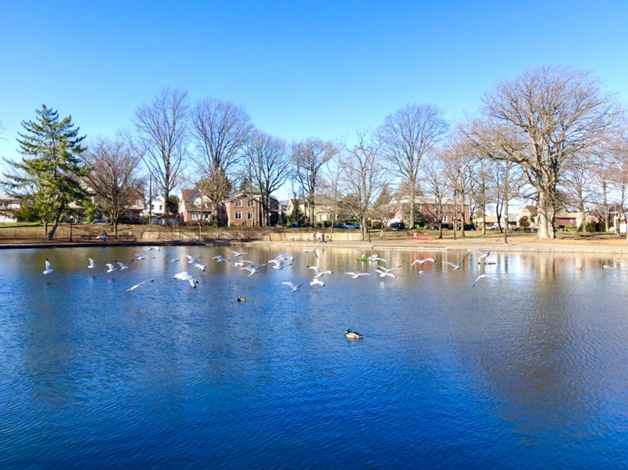 IMG_9691.jpg?type=w966