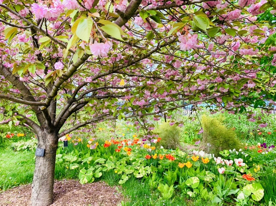 IMG_6933.jpg?type=w966