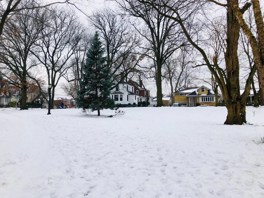 IMG_7574.jpg?type=w966