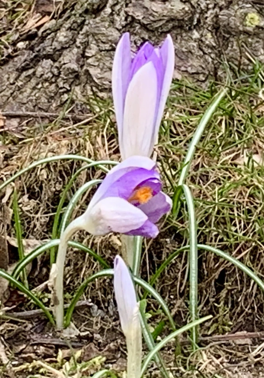 IMG_7088.jpg?type=w966