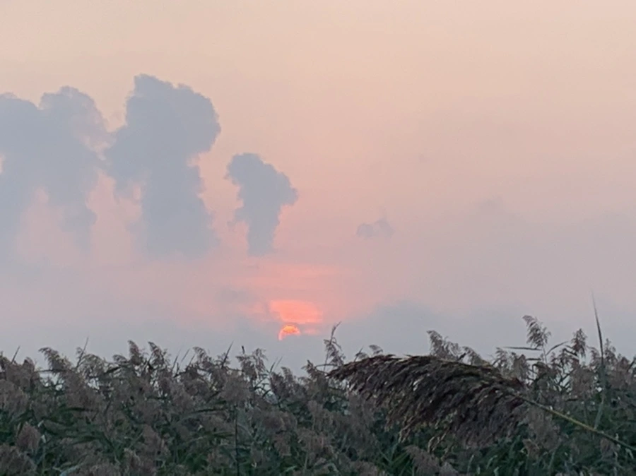 IMG_1061.jpg?type=w966