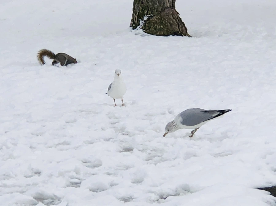 IMG_3849.jpg?type=w966