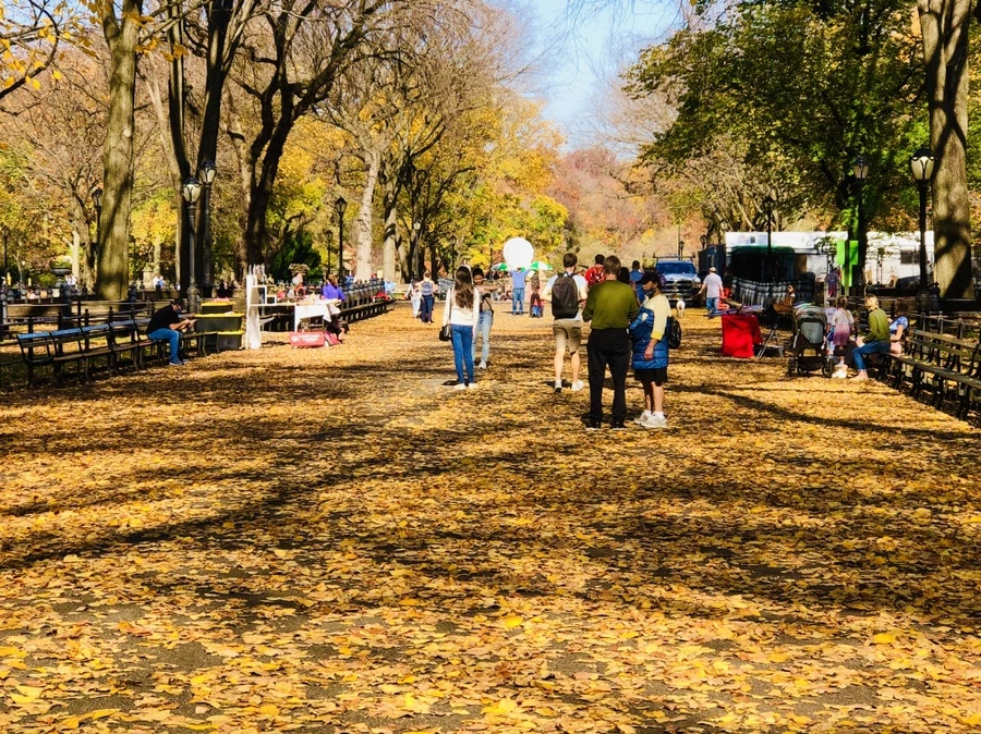 IMG_4266.jpg?type=w966