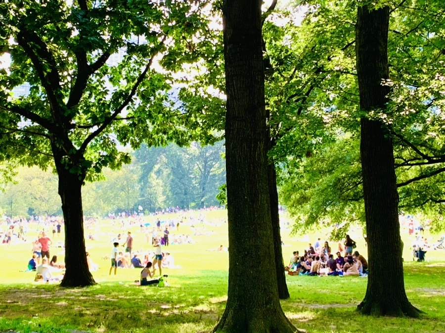 IMG_0625.jpg?type=w966