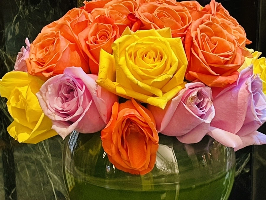 IMG_7244.jpg?type=w966