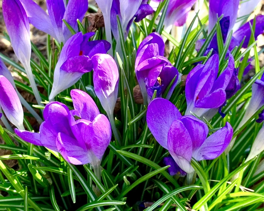 IMG_1478.jpg?type=w966