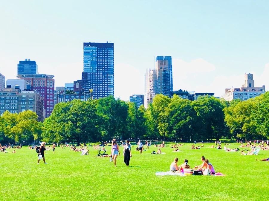 IMG_9332.jpg?type=w966