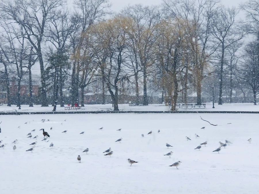 IMG_4056.jpg?type=w966