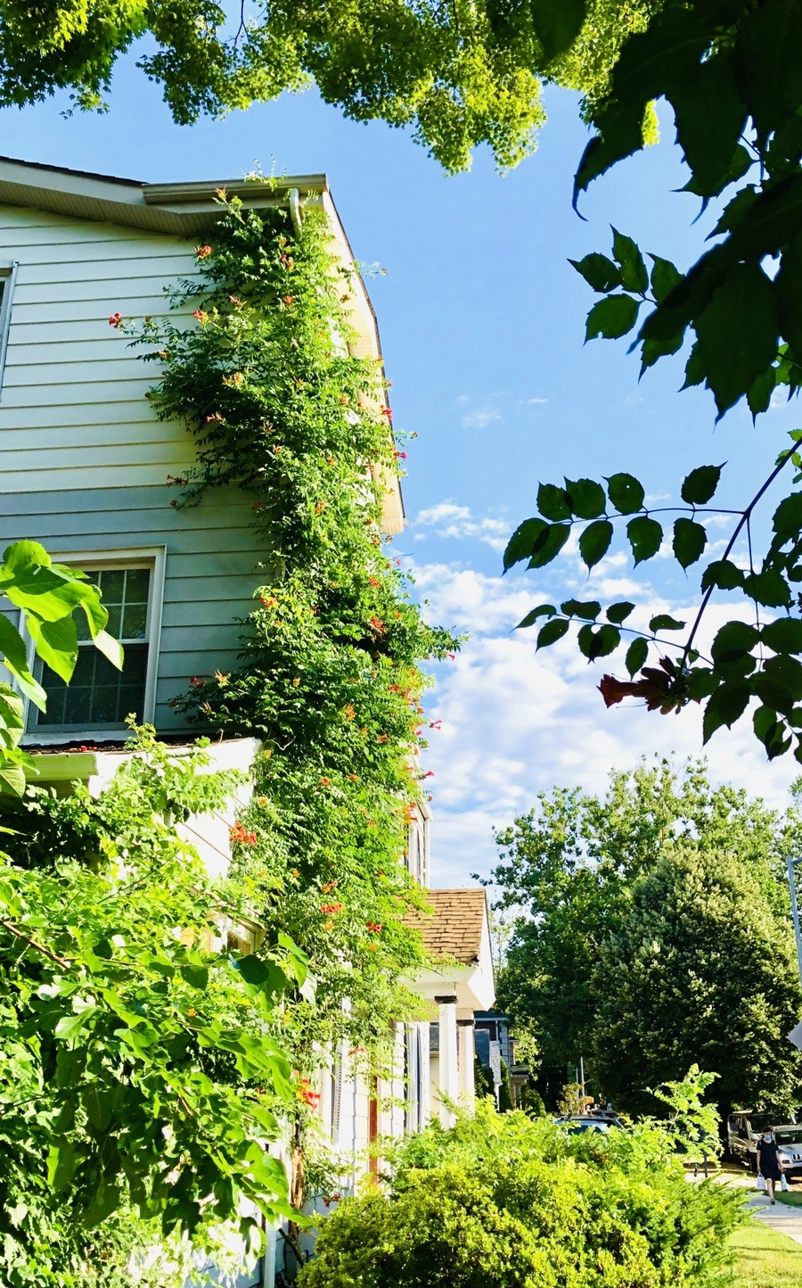 IMG_2130.jpg?type=w966