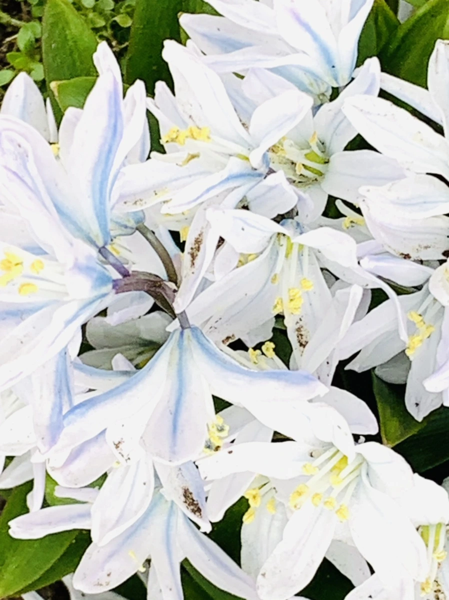 IMG_3524.jpg?type=w966