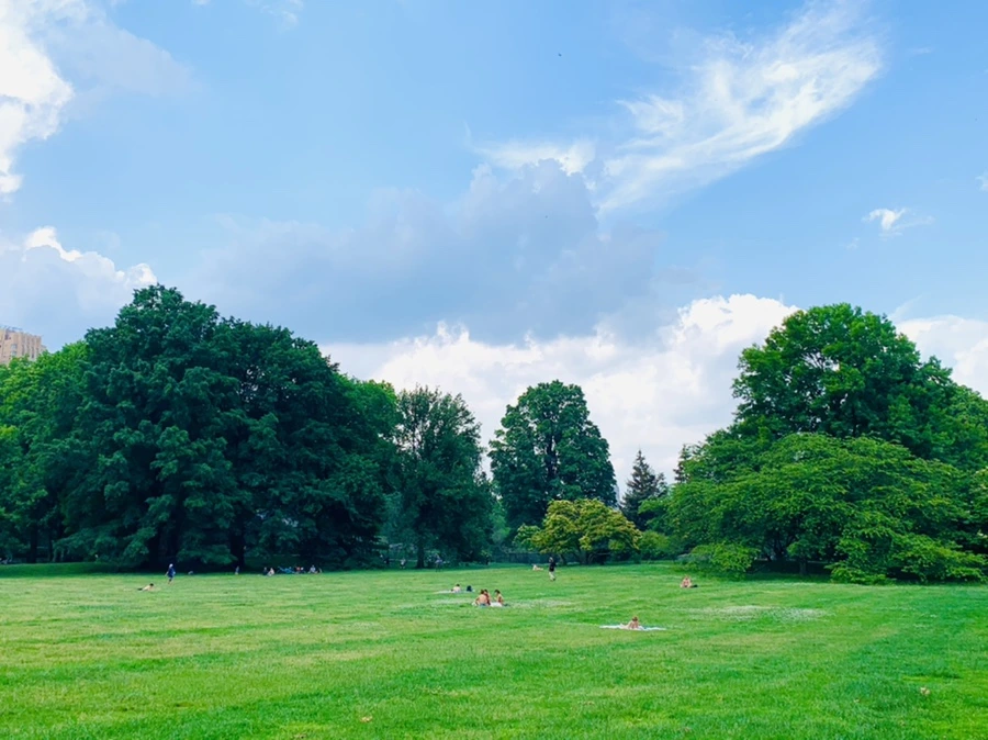 IMG_1647.jpg?type=w966