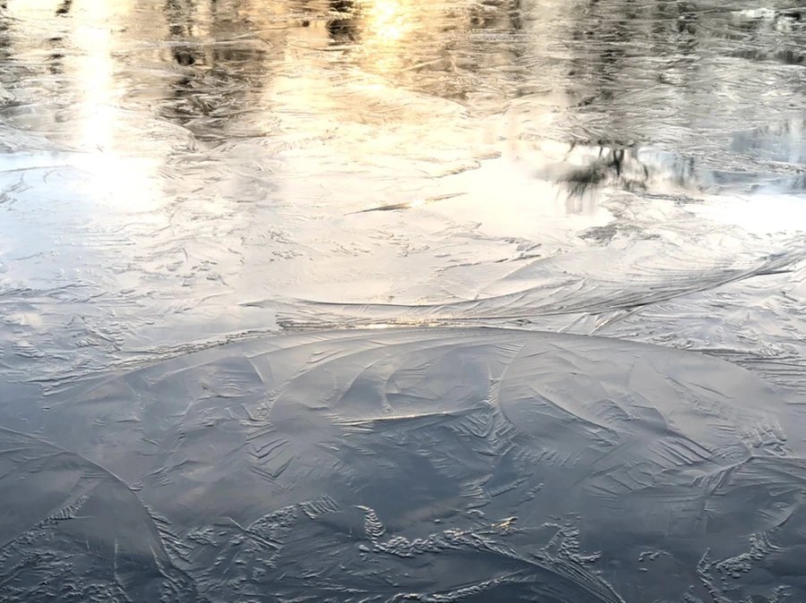 IMG_4636.jpg?type=w966