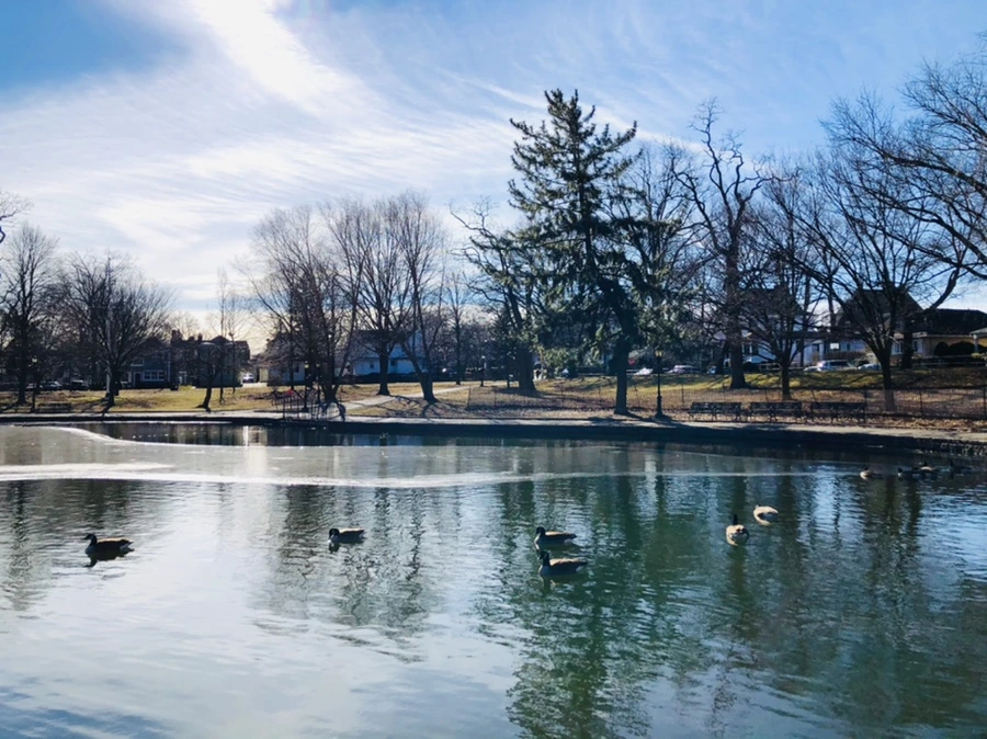 IMG_5496.jpg?type=w966