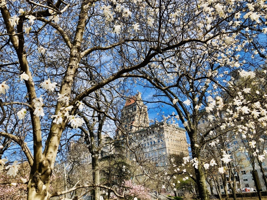 IMG_6667.jpg?type=w966