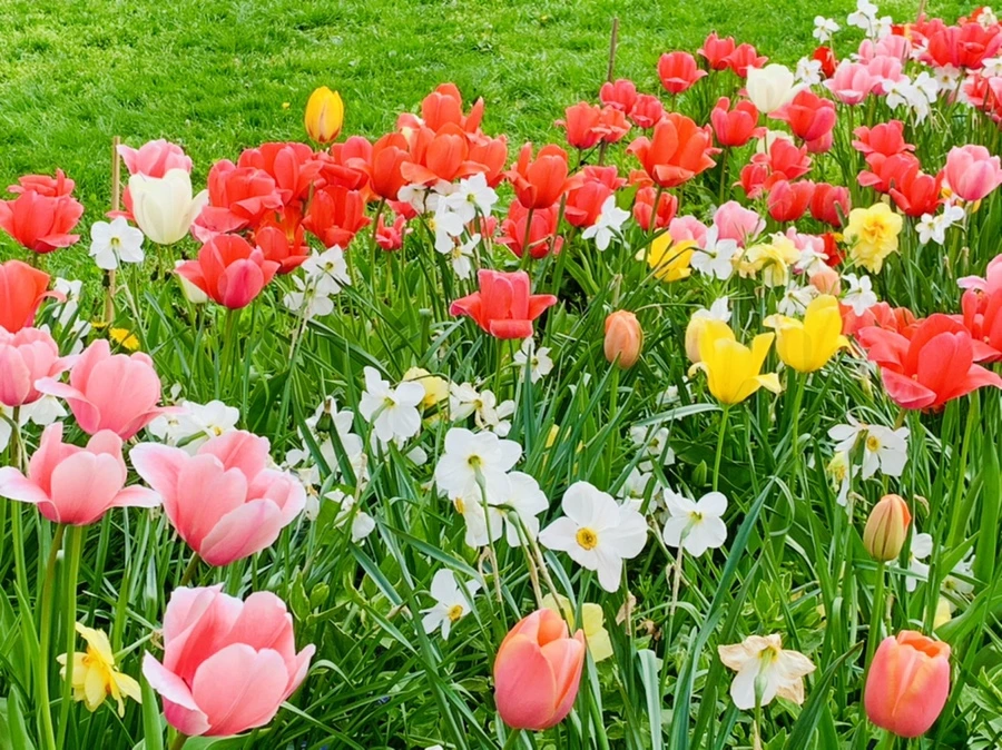 IMG_6961.jpg?type=w966