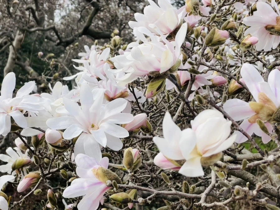 IMG_6698.jpg?type=w966