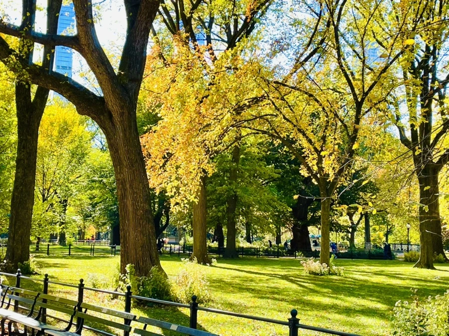 IMG_0632.jpg?type=w966