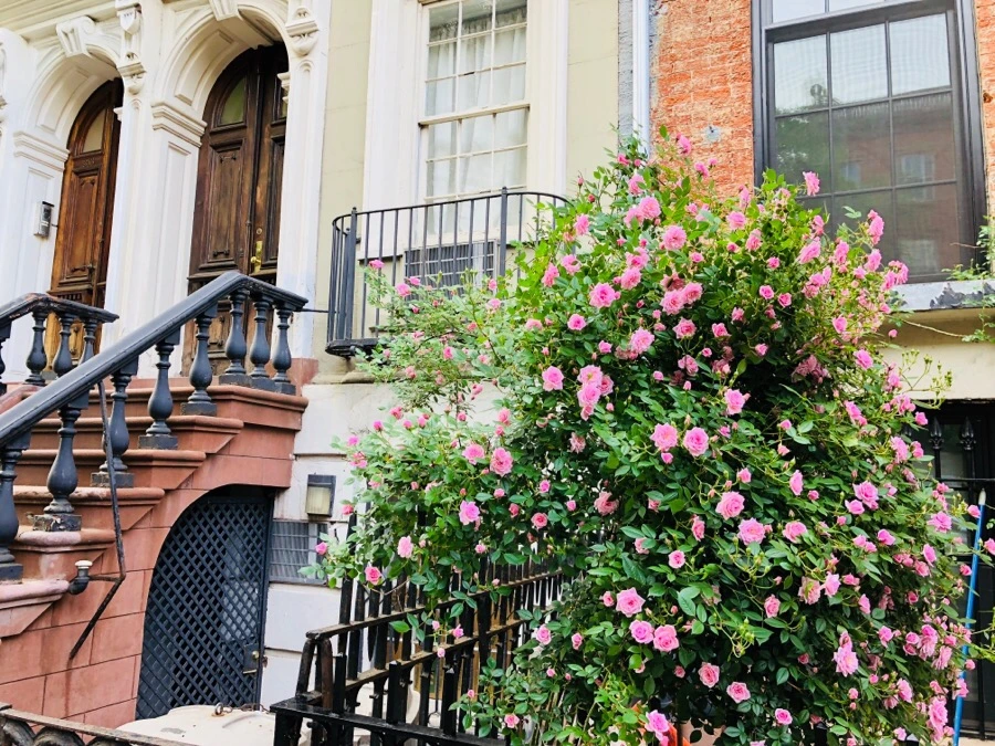 IMG_6257.jpg?type=w966