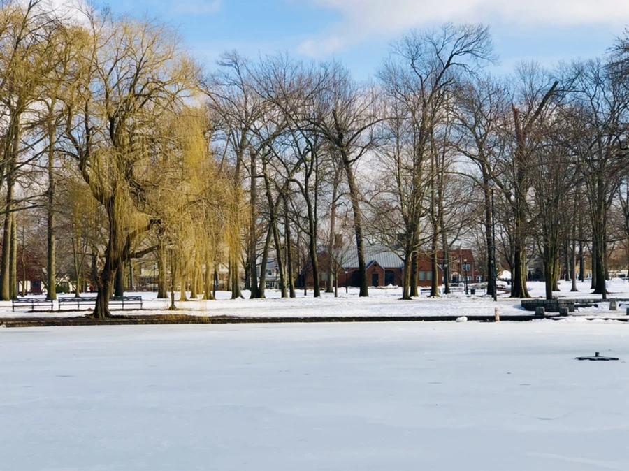 IMG_2959.jpg?type=w966