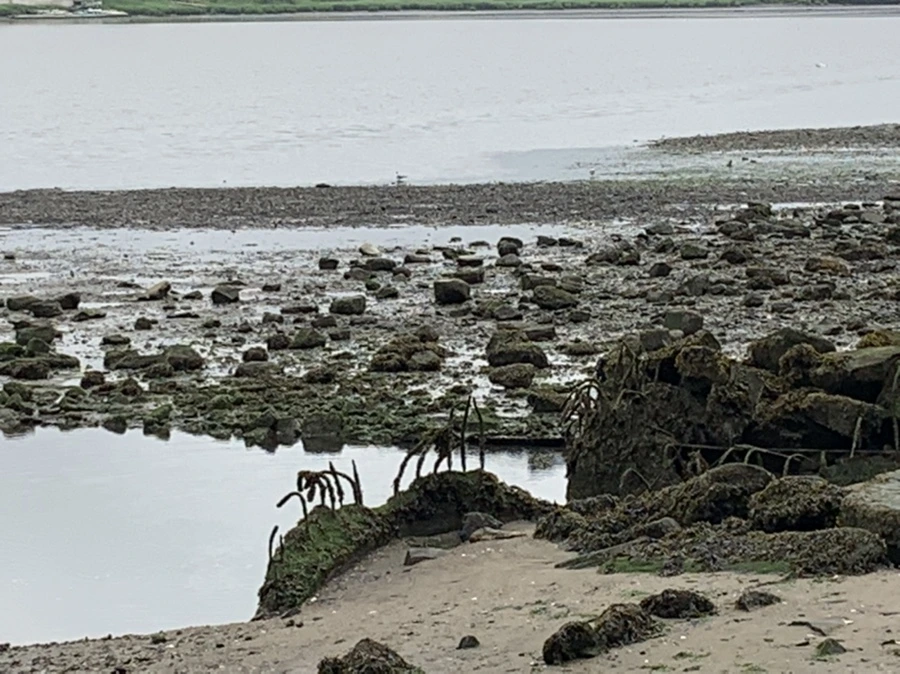 IMG_3686.jpg?type=w966