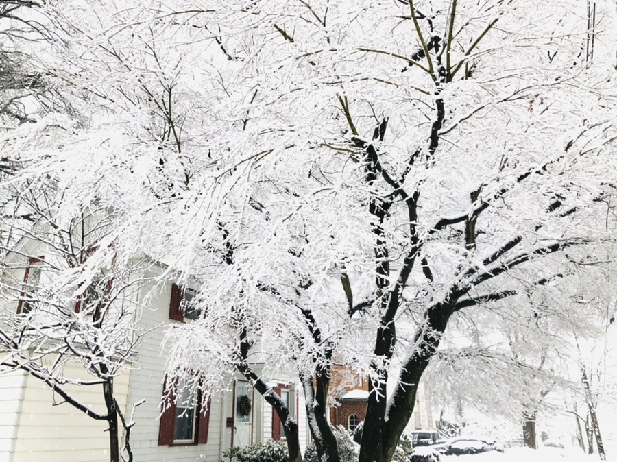 IMG_0997.jpg?type=w966