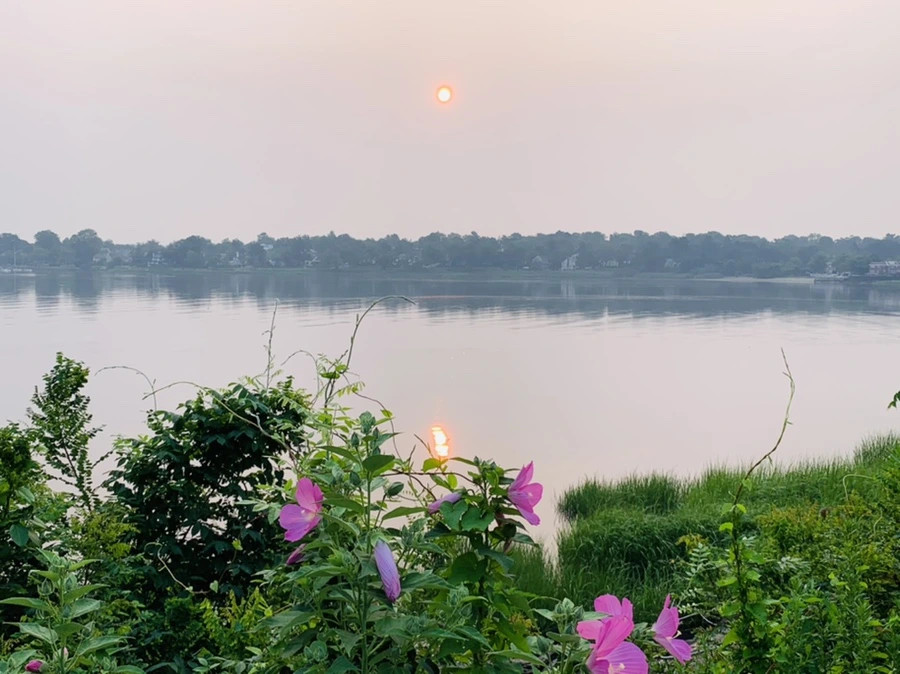 IMG_8354.jpg?type=w966