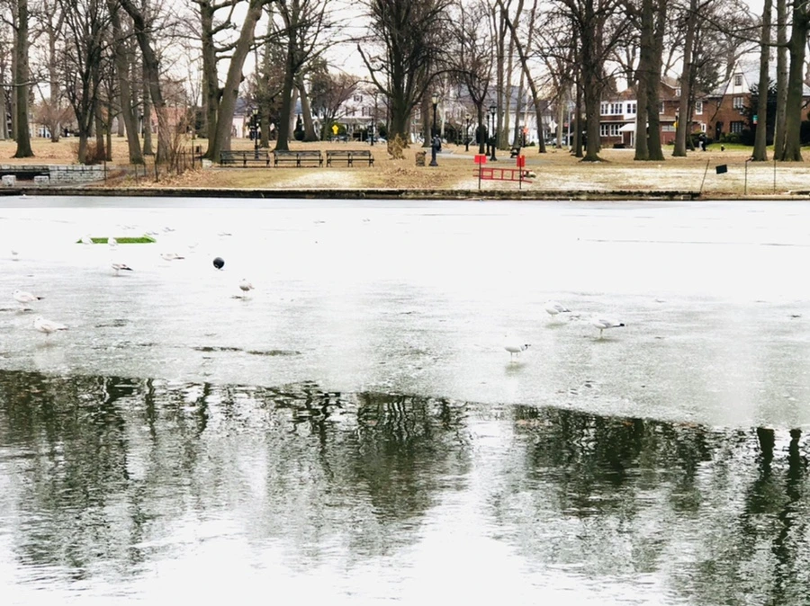 IMG_6370.jpg?type=w966