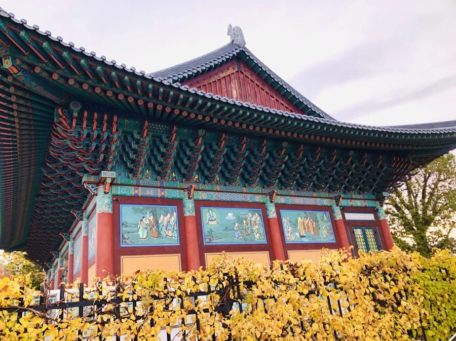 IMG_3406.jpg?type=w966