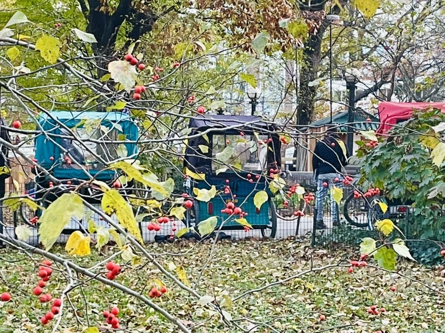 IMG_5635.jpg?type=w966