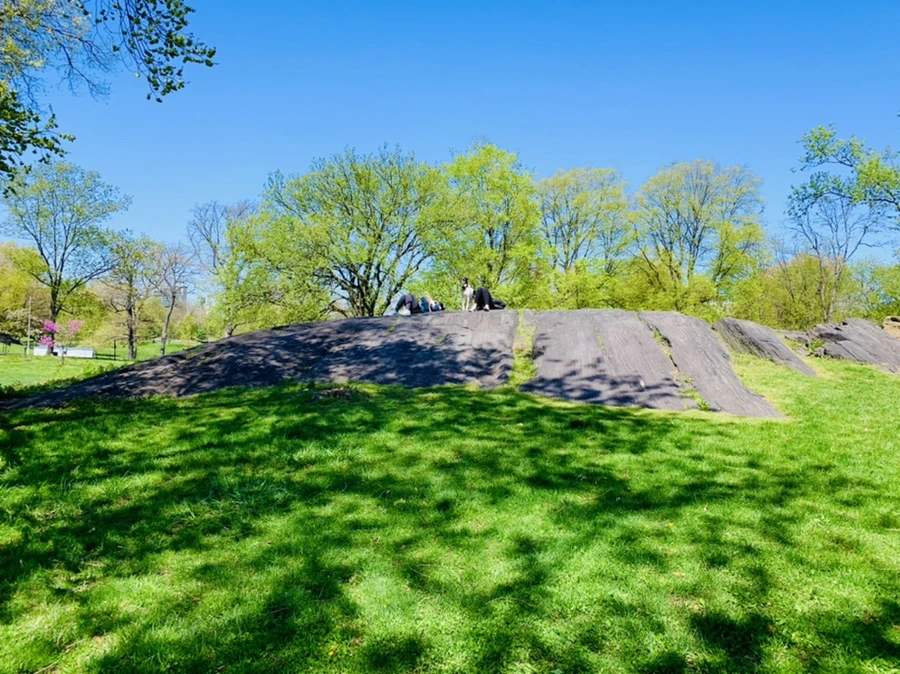 IMG_5775.jpg?type=w966