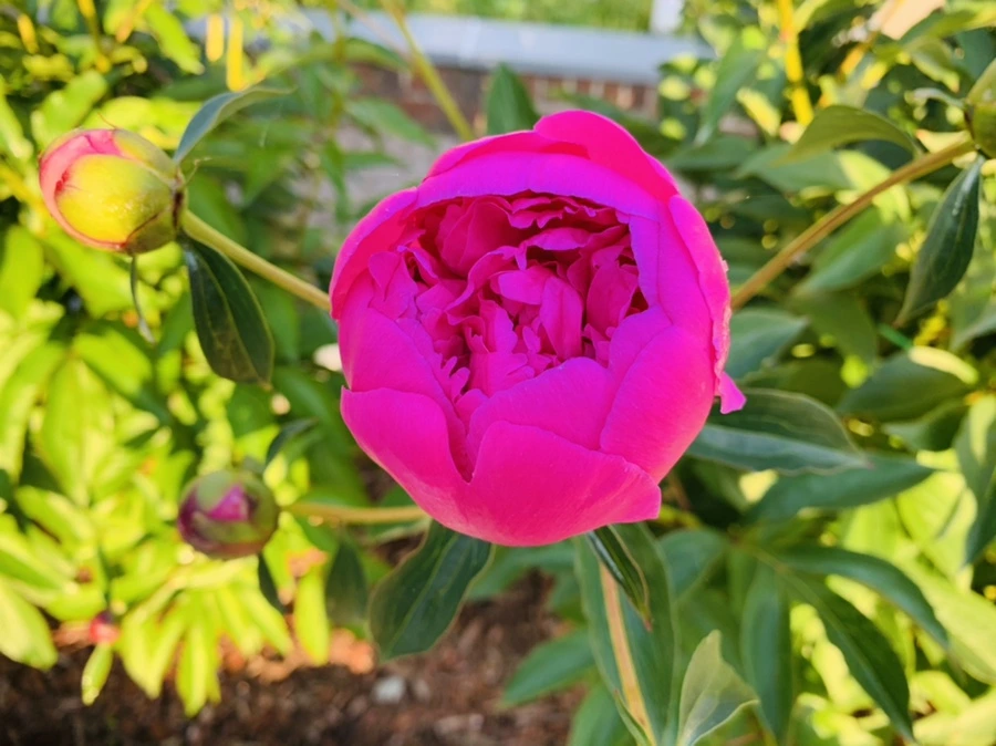 IMG_3428.jpg?type=w966