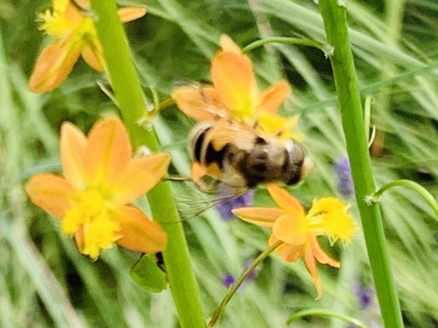 IMG_9472.jpg?type=w966