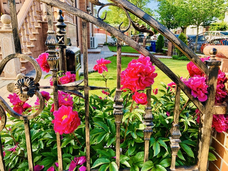 IMG_8035.jpg?type=w966