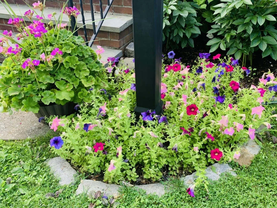 IMG_0875.jpg?type=w966