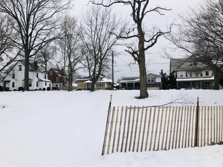 IMG_2761.jpg?type=w966