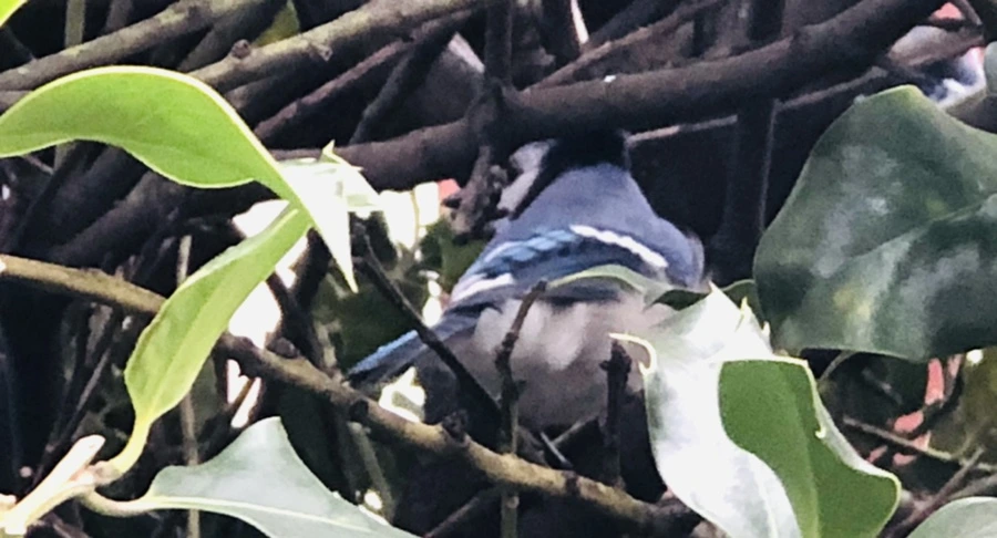 IMG_6343.jpg?type=w966