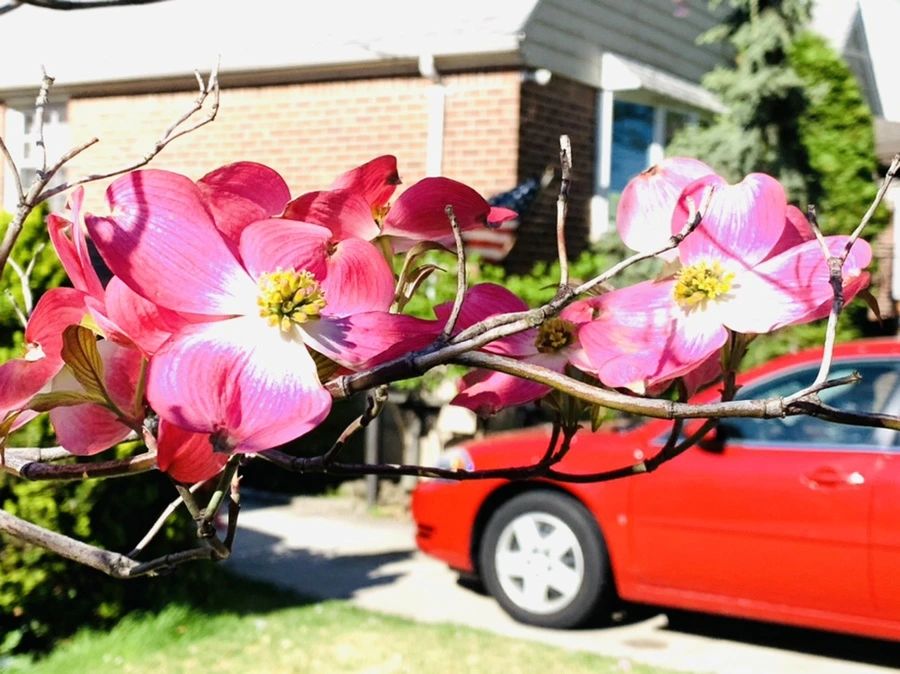 IMG_0458.jpg?type=w966