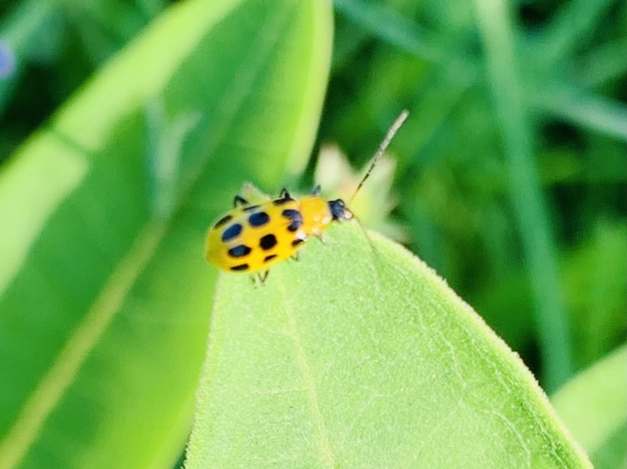 IMG_6537.jpg?type=w966