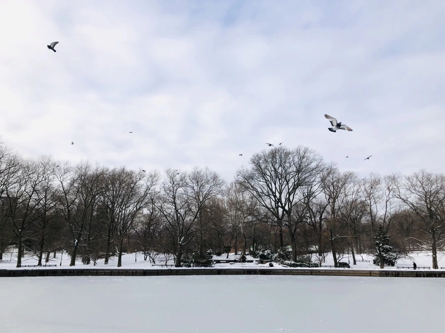 IMG_7258.jpg?type=w966