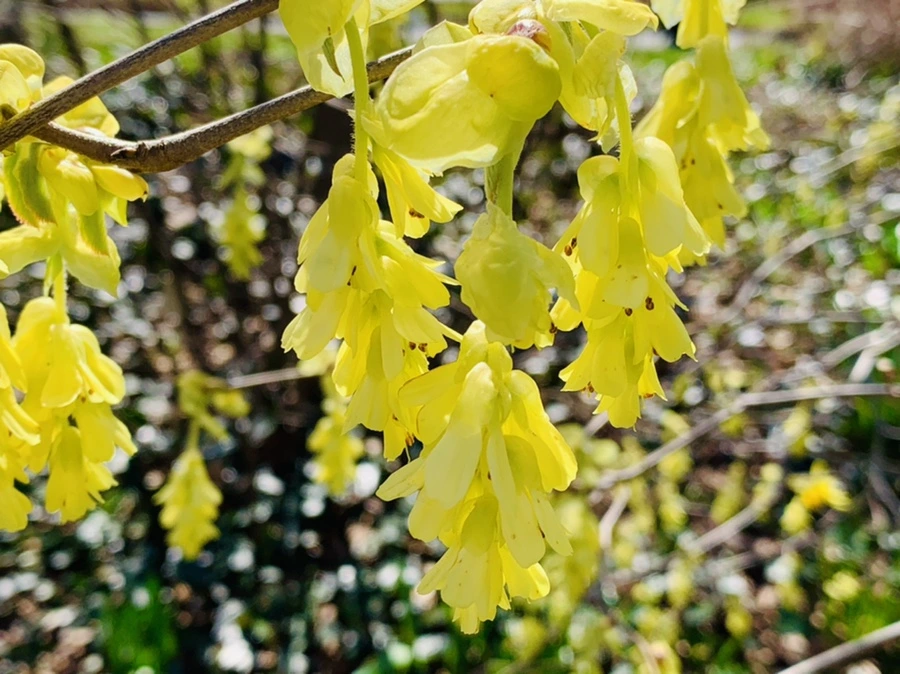 IMG_5794.jpg?type=w966