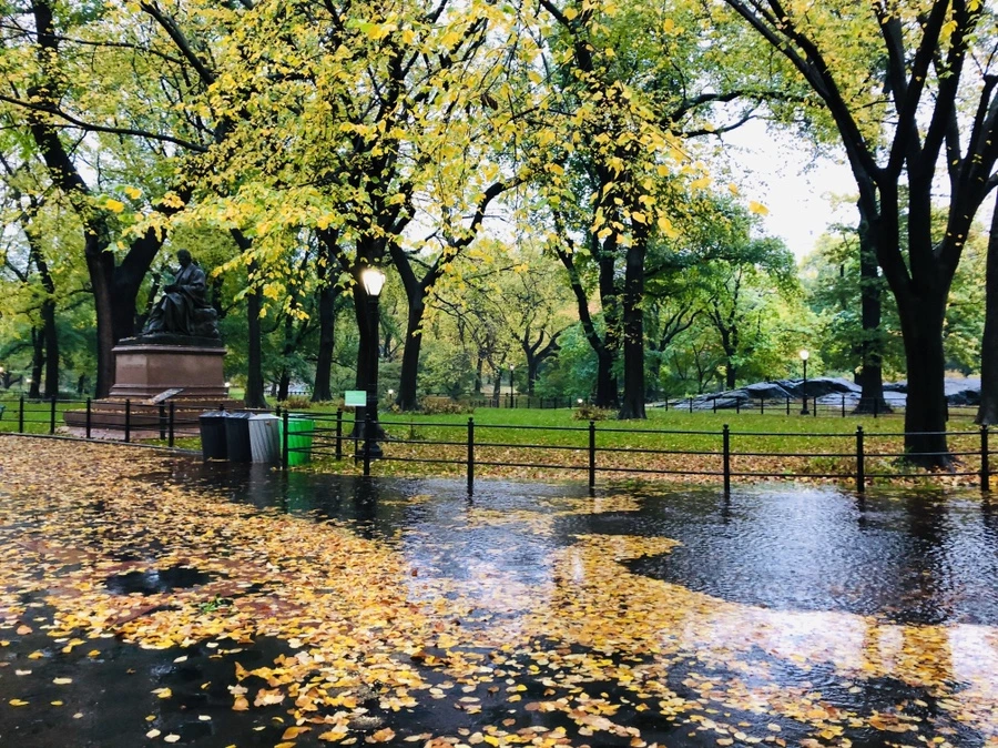 IMG_3127.jpg?type=w966